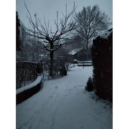 Feldhoern Comfortable Zetel