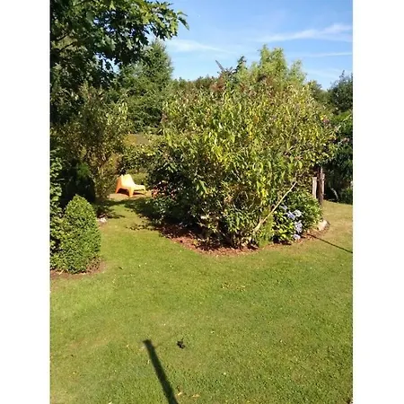 Дом отдыха Feldhoern Comfortable *