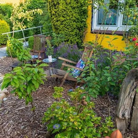 Feldhoern Comfortable Дом отдыха Zetel