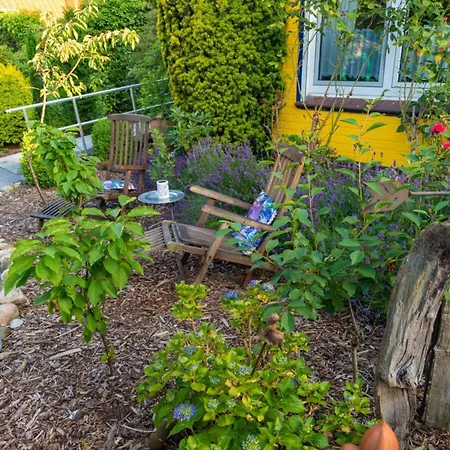 Feldhoern Comfortable Zetel