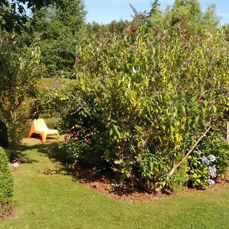 Feldhoern Comfortable