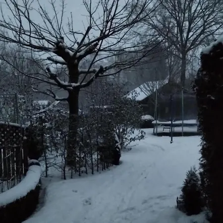 Feldhoern Comfortable Zetel