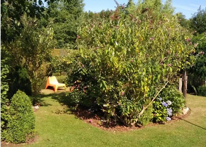 Feldhoern Comfortable