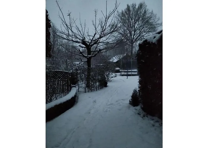 Feldhoern Comfortable *