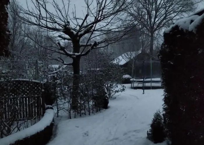 Feldhoern Comfortable Zetel