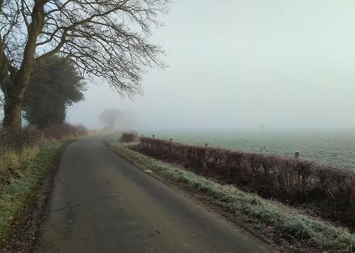 Feldhoern Comfortable