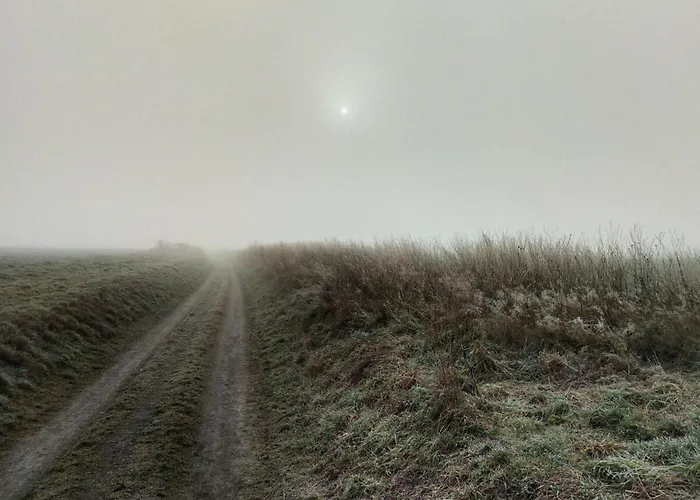 Feldhoern Comfortable